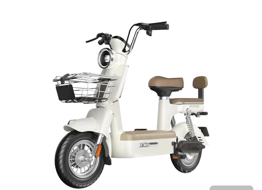 Bust-A-Ride Luxe Rider | Type Approved Twist & Go EAPC