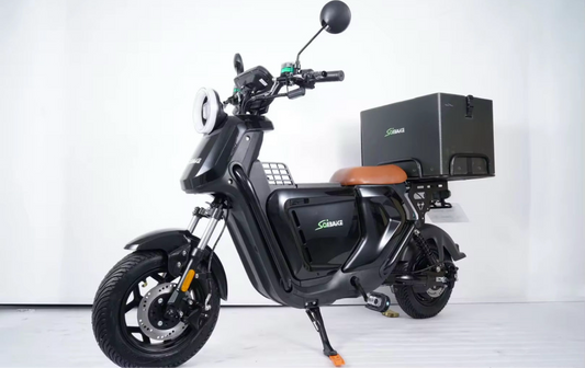 Bust-A-Ride Cargo Rider | Electric Bike Type Approved Twist & Go EAPC