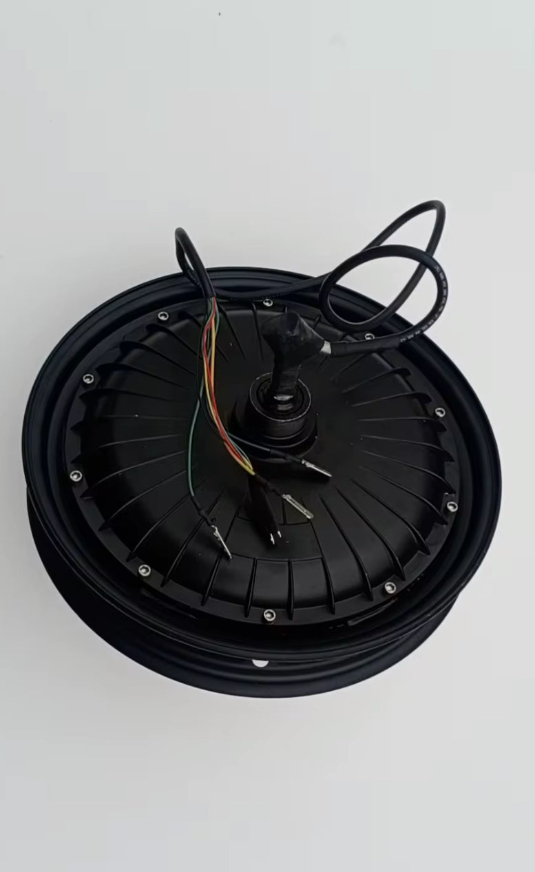 250W Hub Motor – Bust-A-Ride Twist & Go EAPC