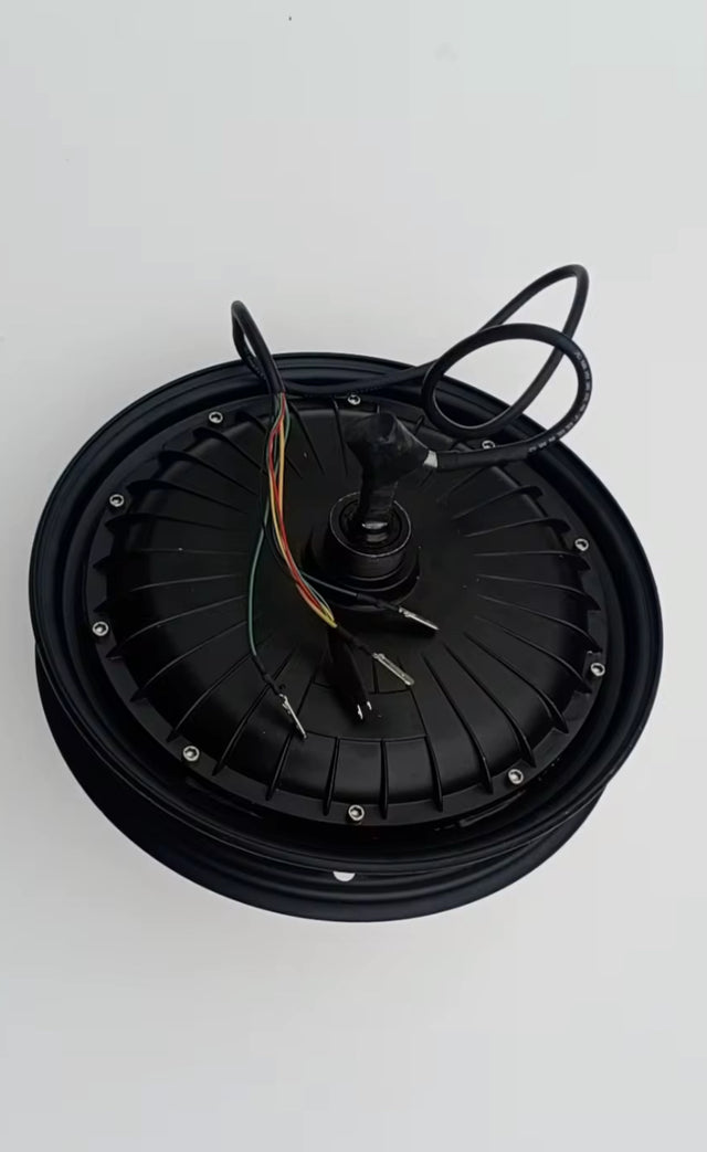 250W Hub Motor – Bust-A-Ride Twist & Go EAPC